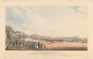 Uitzicht op de Worcester-renbaan en de hoofdtribune door George Hunt