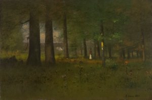 De rand van het bos
