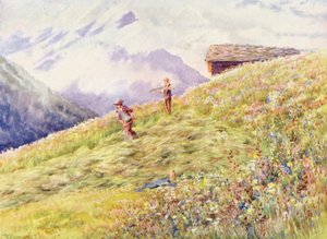 Hooien bij Champex midden juli