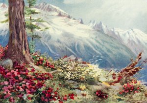 Mont Blanc en de Aiguille Du Midi, gezien vanaf boven Argentiere door George Jackson Flemwell