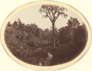 Landschap bij Williams College