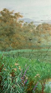 Zomer door George Marks