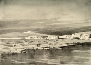 Baai van Walvissen, of Balloon Bight, c1908