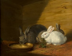 Konijnen door George Morland