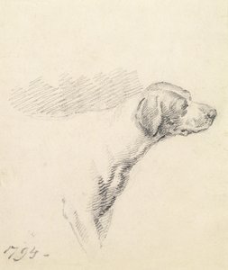 Studie van een hond, 1794