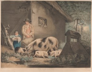 Het laatste nest