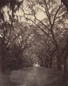Bonaventure Begraafplaats, vier mijl van Savannah, 1866 door George N. Barnard