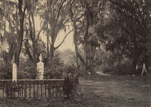 Buen-Ventura, Savannah, Georgia door George N. Barnard