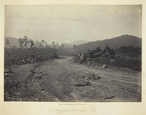 Buizerd Roost, GA door George N. Barnard