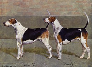 De Puckeridge Foxhounds Kolonist en Kardinaal door George Paice