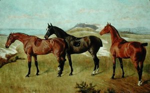 Drie paarden: Whissendine, Swallow en Tiptop door George Paice