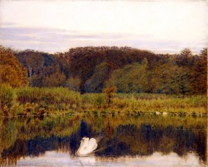 Abinger Mill Pond, Surrey - Ochtend in de late herfst