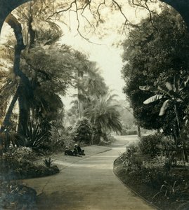 Pad in het Queens Park, Brisbane, Australië, ca. 1909 door George Rose