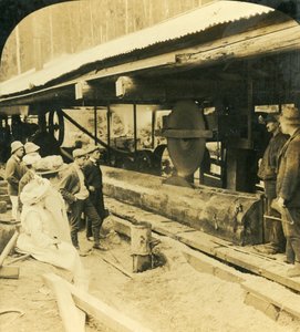 De Houtindustrie, Warburton, Victoria, Australië, 1909