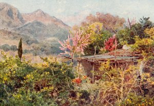 Orange Grove, Mentone (kleurenlitho) door George Samuel Elgood