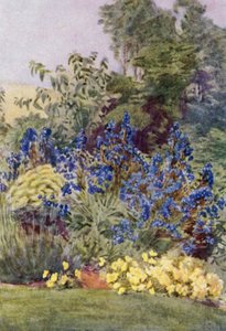 Anchusa Italica Dropmore-variëteit, de Dropmore Alkanet, met Clematis recta en Violen door George Soper