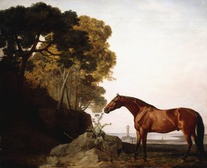 Een Arabisch paard in een kustlandschap, 1779 door George Stubbs