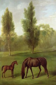 Een Kastanjebruine Merrie en Veulen in een Bosrijk Landschap, ca. 1761-63 door George Stubbs
