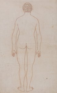 Een vergelijkende anatomische uiteenzetting van de structuur van het menselijk lichaam met dat van een tijger en een hoender: Menselijk Lichaam, Achteraanzicht (Overzichtstekening voor Tabel VII) door George Stubbs