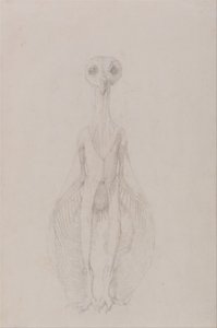 Een vergelijkende anatomische uiteenzetting van de structuur van het menselijk lichaam met dat van een tijger en een hoender: Uil staand, vooraanzicht door George Stubbs