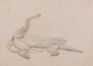 Een vergelijkende anatomische uiteenzetting van de structuur van het menselijk lichaam met dat van een tijger en een hoender: Tijger, liggend, centraal bekeken door George Stubbs