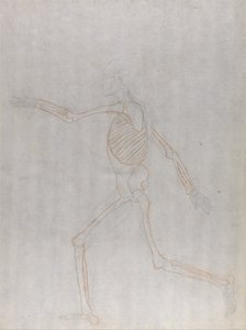 Een vergelijkende anatomische uiteenzetting van de structuur van het menselijk lichaam met dat van een tijger en een hoender: Menselijk skelet, zijaanzicht door George Stubbs