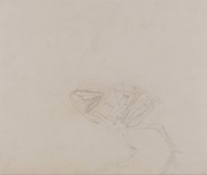 Een vergelijkende anatomische uiteenzetting van de structuur van het menselijk lichaam met dat van een tijger en een hoen:  Dorking Hen Body, Lateral View (Studie van de spieren van het lichaam en de ledematen in een later stadium van dissectie) door George Stubbs
