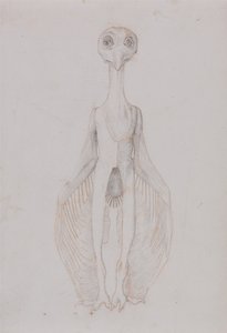 Een vergelijkende anatomische uiteenzetting van de structuur van het menselijk lichaam met dat van een tijger en een hoender:  Uil staand, vooraanzicht door George Stubbs