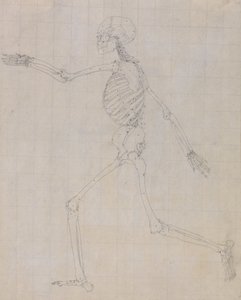 Een vergelijkende anatomische uiteenzetting van de structuur van het menselijk lichaam met dat van een tijger en een hoender: Menselijk skelet, zijaanzicht (schets van het skelet voor de sleutelfiguur bij tabel III) door George Stubbs