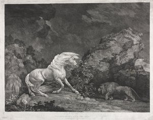 Een paard dat bang is voor een leeuw