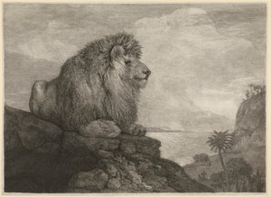 Een Leeuw [Een Leeuw rustend op een Rots] door George Stubbs