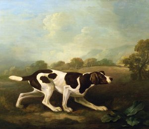 Een Pointer