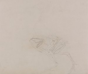 Dorking Hen Lichaam, Zijaanzicht (Studie van de spieren van het lichaam en ledematen in een later stadium van dissectie)
