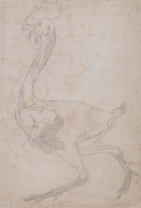 Vogellichaam, zijaanzicht door George Stubbs