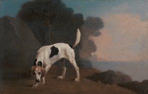 Foxhound, Foxhound op het Spoor, ca. 1760