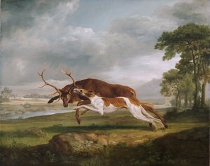 Hond jaagt op een hert door George Stubbs