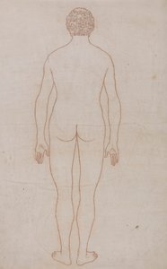 Menselijk lichaam, achteraanzicht (Omlijningstekening voor Tabel VII) door George Stubbs