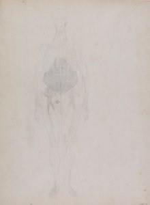 Menselijke Figuur, Vooraanzicht (Grotendeels in omtrek) door George Stubbs