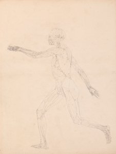 Menselijke figuur, lateraal aanzicht (Voor de sleutel figuur naar Tabel XIII)