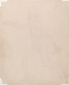 Menselijke figuur, zijaanzicht