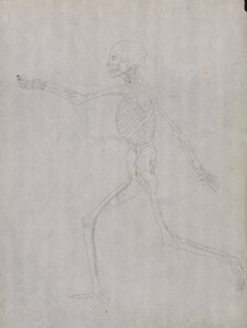 Menselijke figuur, zijaanzicht door George Stubbs