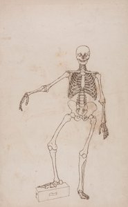 Menselijk skelet, vooraanzicht door George Stubbs
