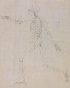 Menselijk skelet, lateraal aanzicht (Omtrek van het skelet voor de sleutel figuur naar Tafel III) door George Stubbs