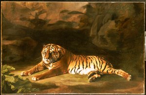 Portret van de Koninklijke Tijger, ca. 1770