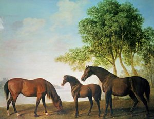 Shafto-merries en een veulen door George Stubbs
