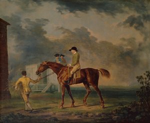 Sir Salomon, Een Bruin Renpaard met J.Singleton, Newmarket