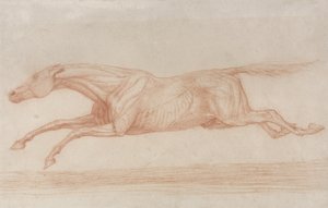 Studie van een renpaard in actie: galopperend naar links door George Stubbs
