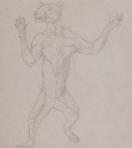 Studie van een tijger, staand in menselijke houding, uit Een vergelijkende anatomische expositie van de structuur van het menselijk lichaam met die van een tijger en een gewone vogel, 1795-1806 door George Stubbs