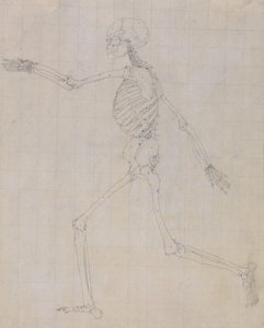 Studie van het Menselijk Lichaam, Laterale Weergave, voltooide studie voor Tabel III, uit Een Vergelijkende Anatomische Expositie van de Structuur van het Menselijk Lichaam met die van een Tijger en een Gewone Vogel, 1795-1806 door George Stubbs