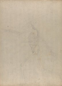 Studie van het Menselijk Lichaam, Laterale Weergave, uit Een Vergelijkende Anatomische Expositie van de Structuur van het Menselijk Lichaam met die van een Tijger en een Gewone Vogel, 1795-1806 door George Stubbs